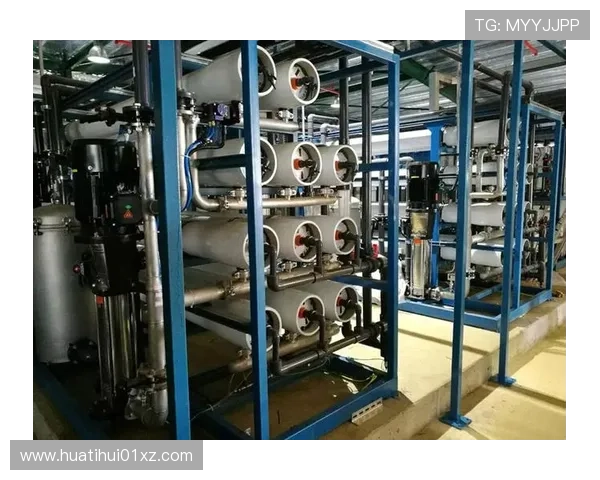 探索华体会hth平台的优势与特色功能介绍